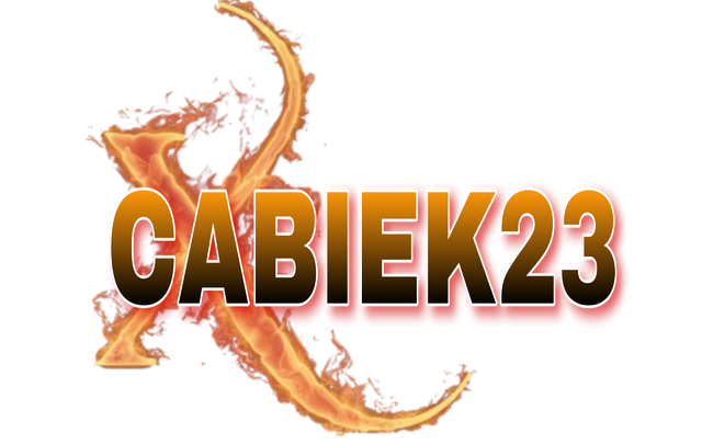 CABIEK23 logo